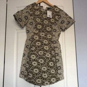 Topshop Daisy Jacquard Dress